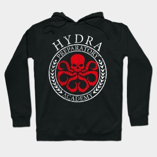 Hydra School logo - New World Order Hoodie
